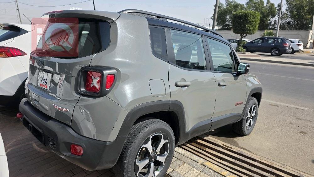 جيب رينيجيد